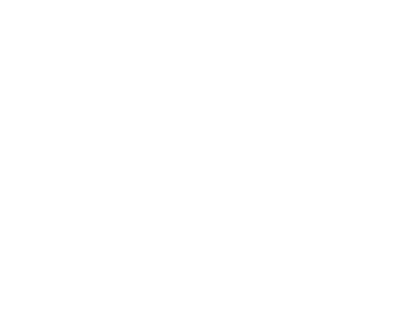 Lew's Cold Brew